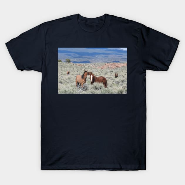 Wild horses, mustangs, wildlife, nature, gifts T-Shirt by sandyo2ly